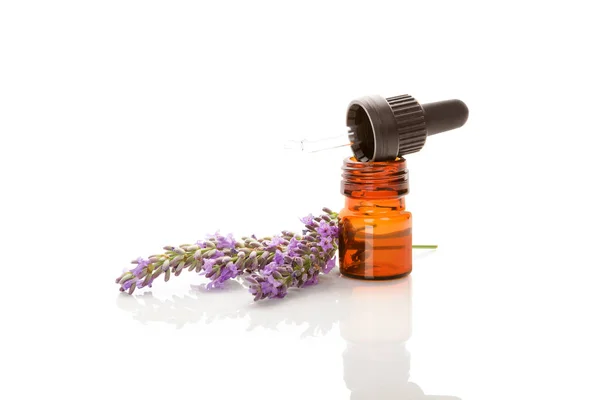 Contagocce Con Olio Aromatico Fiori Lavanda Isolati Fondo Bianco — Foto Stock