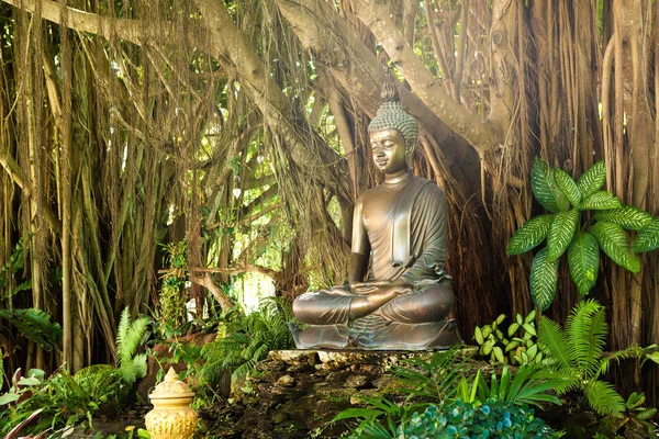 Posąg Buddy Przyrodzie Spokój Umysłu Koncepcja Tło — Zdjęcie stockowe