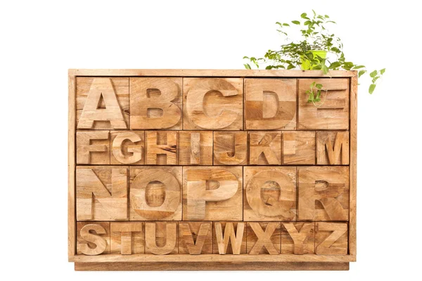 Armoire Alphabet Bois Avec Plante Verte Isolée Sur Blanc Organisateur — Photo