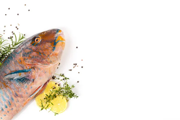 Fresh Colourfull Parrotfish Lemon Herbs Isolated White Background Copy Space — Stock Photo, Image