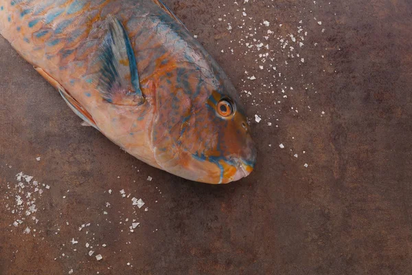 上からグランジ Backbround に塩とカラフルな熱帯ブダイ おいしい魚を食べる — ストック写真