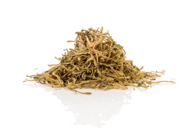 Kurumuş Cordyceps askeri mantarı beyaz arka planda izole edilmiş. Adaptojen, hormonlar, canlılık.