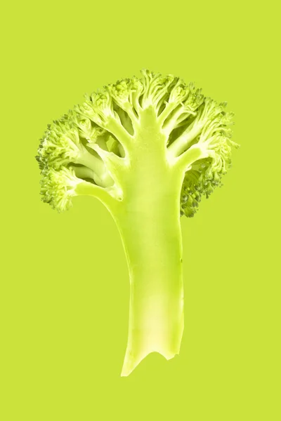 Broccoli Slice Isolated Geen Background Modern Duotone Background — Stock Photo, Image