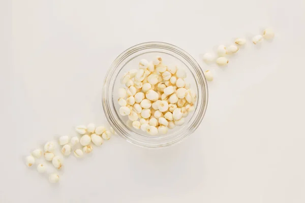 Dry Lotus Seeds Isolated White Background — Stock Photo, Image