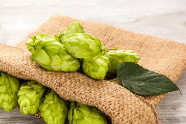 Tahta masadaki yapraklarla çuval içinde yeşil zıplamalar..