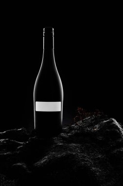 Şarap şişesi silueti ve yosunlu etiketi. Dramatik ışık. 