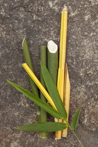 Varas Bambu Redondas Com Folhas Fundo Pedra Cima Matéria Prima — Fotografia de Stock