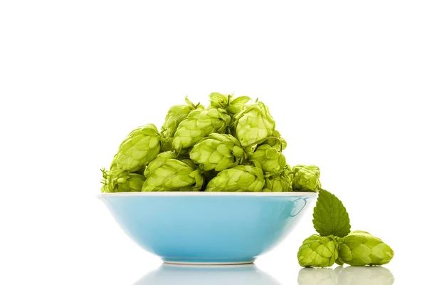 Green Hops Bowl Isolated White Background — стоковое фото