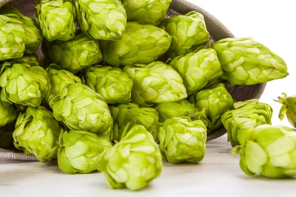 Grüne Hopfendolden Zur Herstellung Von Bier Und Brot Klecks — Stockfoto