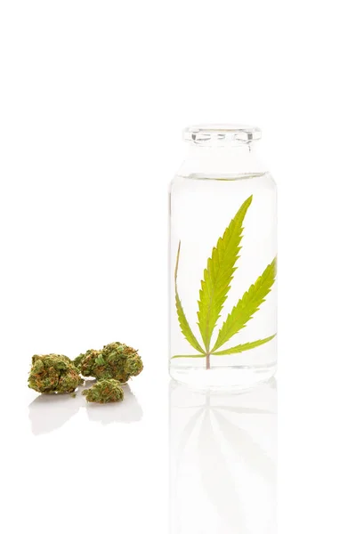 Cbd Olie Cannabis Een Fles Ethanol Met Marihuana Knoppen Extractieconcept — Stockfoto