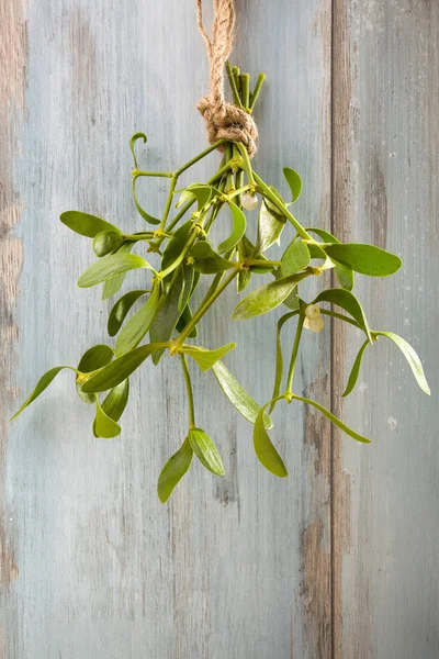 Rama Muérdago Atada Sobre Fondo Grunge Fondo Naturaleza Planta Navidad — Foto de Stock