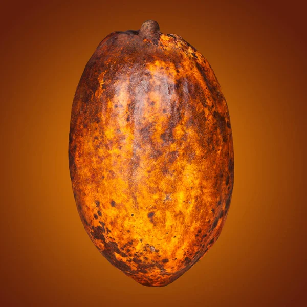 Kakaové Plody Pozadí Grafická Duplexovém — Stock fotografie