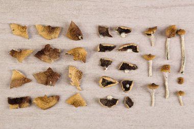 Sihirli mantar yukarıdan. Knolling düz arka plan yattı. Entheogen, alternatif tıp.