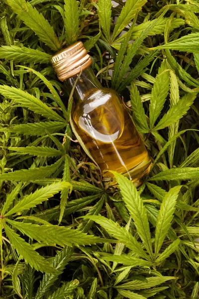 Cannabisöl Der Flasche Auf Marihuanablättern Von Oben Cbd Medizinisches Cannabidiol — Stockfoto