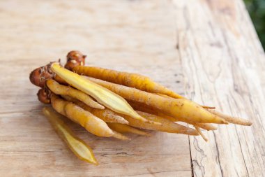 Sağlıklı Fingerroot.