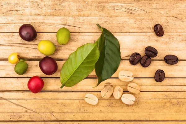 Cofffea frutas, folhas, grãos de café torrados — Fotografia de Stock