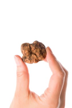 Beyaz trüf mantarı tutan genç bir kadın.