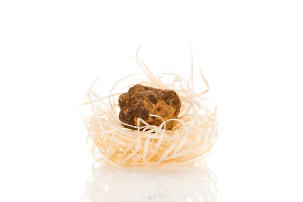 Tartufo bianco (tuber magnatum) isolato su bianco . — Foto Stock