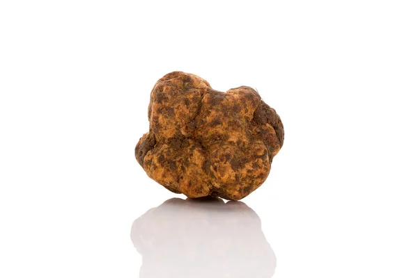 Tartufo bianco (tuber magnatum) isolato su bianco . — Foto Stock