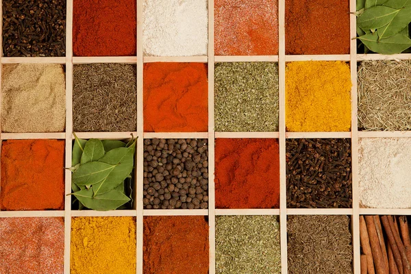 Colorful spice variation. — Stock Photo, Image
