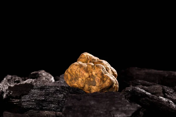 White truffle (tuber magnatum) on black. — Stock Photo, Image