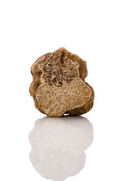 Coupe transversale de la truffe blanche . — Photo