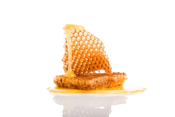 Honeycomb isolated on white background. — Stock Photo, Image