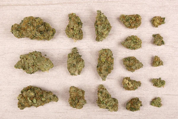 Germogli di cannabis dall'alto . — Foto Stock