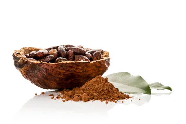 Fresh Roasted Cocoa Beans Cocoa Pod Powder Isolated White Background — Stock Photo, Image