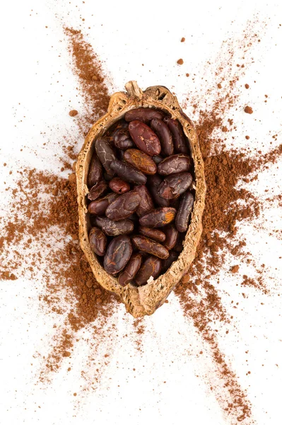 Yukarıdan Izole Edilmiş Taze Kakao Çekirdekleri Sağlıklı Süper Yiyecekler — Stok fotoğraf