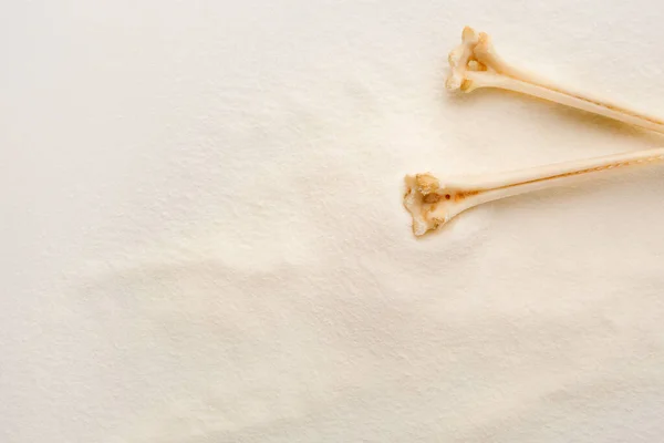 骨のついた白いコラーゲンパウダーの背景 肌や骨の自然な美しさと健康のサプリメント — ストック写真