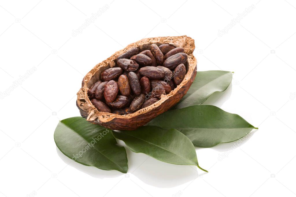Fresh roasted cocoa beans in a pod with leaves isolated on white background. Healthy superfood.