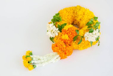 Kadife çiçeği çelenk, çiçek çelenk beyaz arka plan