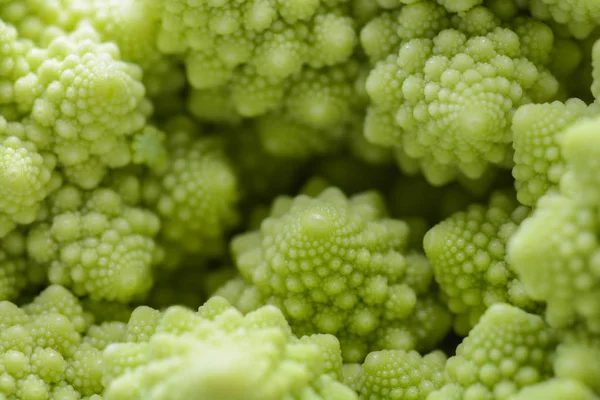 Römischer Blumenkohl isoliert auf weißem Hintergrund, es ist ein essbarer — Stockfoto