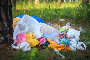 Çevre kirliliği. Ormandaki çöpler. İnsanlar ormandaki çöpleri yasadışı olarak atıyorlar. İnsan ve doğa kavramı. Doğada yasadışı çöplük. 