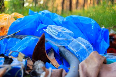 A package of plastic garbage lies in the forest on a forest road, pollution of nature, garbage and nature clipart