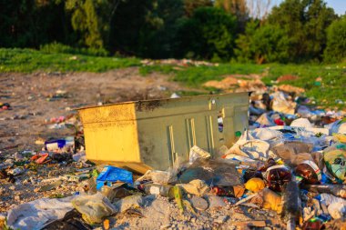 Cherkassy, Ukrayna- 23 Mayıs 2019: Ormanda çöp. İnsanlar ormandaki çöpleri yasadışı olarak atıyorlar. İnsan ve doğa kavramı. Doğada yasadışı çöplük.