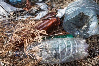Çevre kirliliği. Ormandaki çöpler. İnsanlar ormandaki çöpleri yasadışı olarak atıyorlar. İnsan ve doğa kavramı. Doğada yasadışı çöplük. 