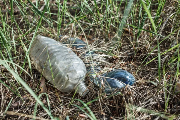 Inquinamento Terrestre Problemi Ecologia Rifiuti Bottiglie Plastica Nella Foresta Concetto — Foto Stock