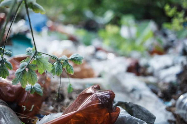 Piles of trash and garbage in the forest outside the city. Pollution environmental disaster and ecology