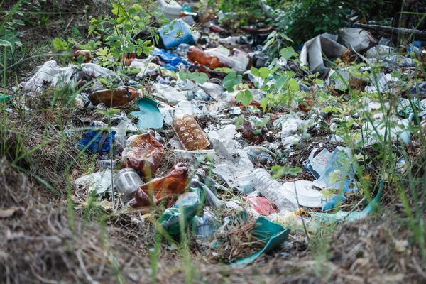 Şehrin Dışındaki Ormandaki Çöp Yığınları Kirlilik Çevre Felaketi Ekoloji — Stok fotoğraf