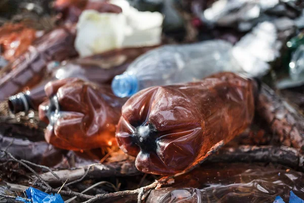 Inquinamento Plastica Bottiglie Plastica Rifiuti Nella Foresta Stile Vita Moderno — Foto Stock