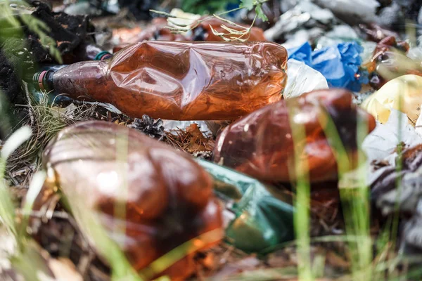 Inquinamento Ambientale Spazzatura Una Foresta Gente Butta Illegalmente Spazzatura Nella — Foto Stock