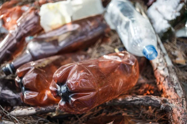 Inquinamento Ambientale Spazzatura Una Foresta Gente Butta Illegalmente Spazzatura Nella — Foto Stock