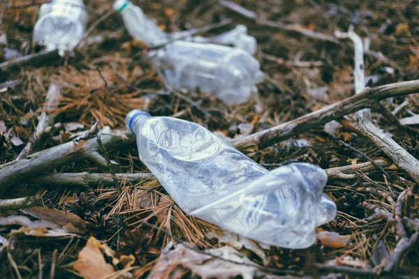Пластикові Пляшки Відходи Лісі Концепція Пластикового Забруднення — стокове фото
