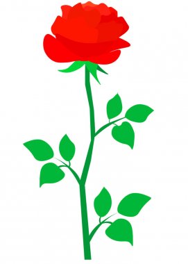 Beyaz zemin üzerine kırmızı gül karikatür tarzı