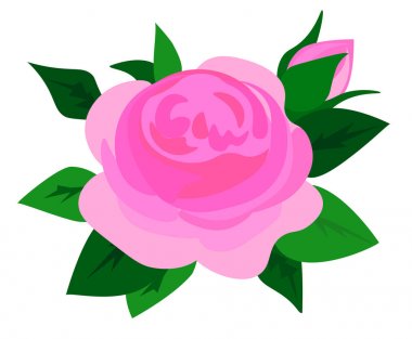 kök üzerinde yaprakları ile çiçekler gül. Çiçekler gül, kırmızı tomurcuklar ve yeşil yaprakları.