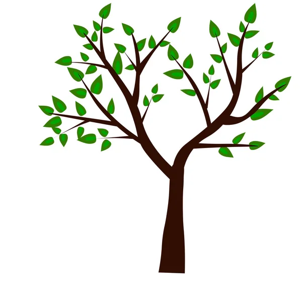 Forma Árbol Raíces Hojas Verdes Ilustración Vectorial — Vector de stock