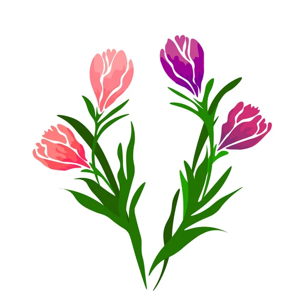 Tulipa Sobre Fundo Branco Para Design Gráfico Web Sinal Vetorial —  Vetores de Stock
