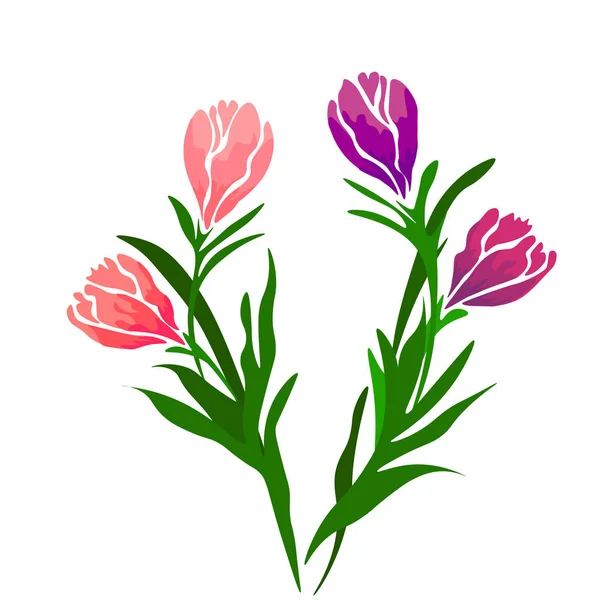 Tulp Witte Achtergrond Voor Grafisch Web Design Moderne Eenvoudige Vector — Stockvector